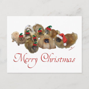 Pekingese-Gruppe Weihnachten