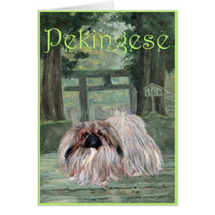 Pekingese-Grußkarte