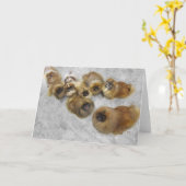 Pekingese Grußkarte Karte (Gelbe Blume)
