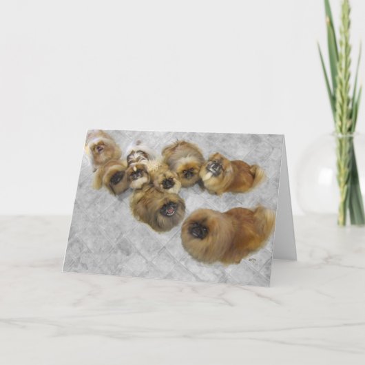 Pekingese Grußkarte Karte (Vorderseite)