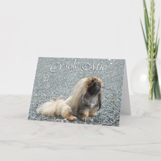 Pekingese Grußkarte Karte (Vorderseite)