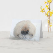Pekingese Grußkarte Karte (Gelbe Blume)
