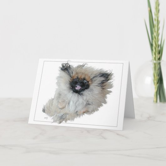 Pekingese Grußkarte Karte (Vorderseite)