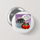 Pekingese Halloween Candy Button (Vorne & Hinten)