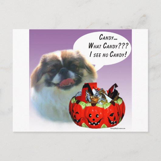 Pekingese Halloween Candy Postkarte (Vorderseite)