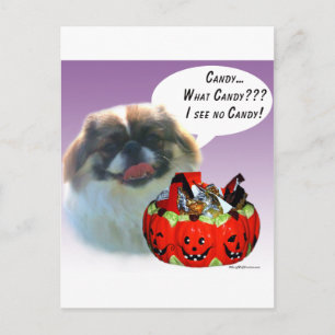Pekingese Halloween Candy Postkarte