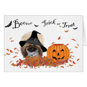 Pekingese Halloween Grußkarte