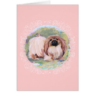 Pekingese Hübsch in Rosa