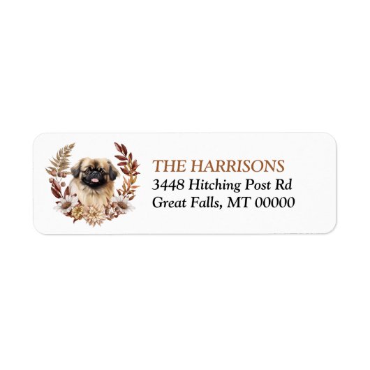 Pekingese Hund Herbstreath (Vorne)