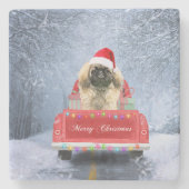 Pekingese Hund im Schnee sitzend im Weihnachtswage Steinuntersetzer (Vorderseite)