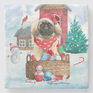 Pekingese Hund im Schnee Weihnachtshaus Steinuntersetzer