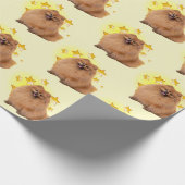 Pekingese-Hund mit langer Haare ist ein Star Geschenkpapier (Ecke)