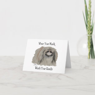 Pekingese-Hund Notizen