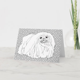 Pekingese-Hund Notizen