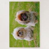 Pekingese Hund. Puzzle (Vertikal)