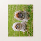 Pekingese Hund. Puzzle (Vertikal)