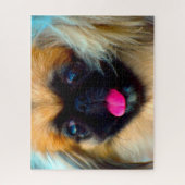 Pekingese Hund. Puzzle (Vertikal)