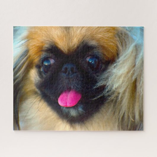 Pekingese Hund. Puzzle (Horizontal)