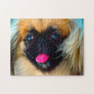 Pekingese Hund. Puzzle