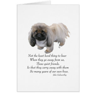 Pekingese-Hund Regenbogenbrücke