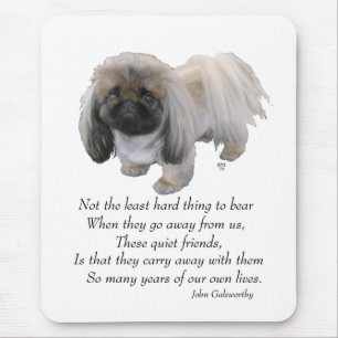 Pekingese-Hund Regenbogenbrücke Mousepad