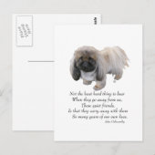 Pekingese-Hund Regenbogenbrücke Postkarte (Vorne/Hinten)