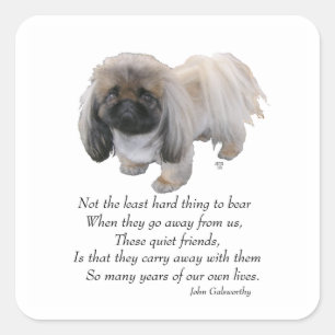 Pekingese-Hund Regenbogenbrücke Quadratischer Aufkleber