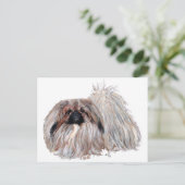 Pekingese Hund Stehend Postkarte (Stehend Vorderseite)