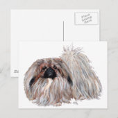 Pekingese Hund Stehend Postkarte (Vorne/Hinten)
