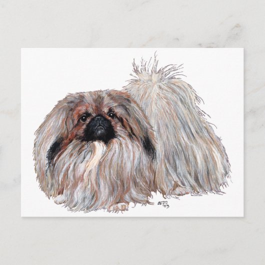 Pekingese Hund Stehend Postkarte (Vorderseite)