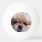 Pekingese Hund Tischtennisball (Rückseite)