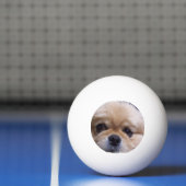Pekingese Hund Tischtennisball (Netto)