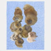 Pekingese Hunde auf blau Fleecedecke (Vorderseite)