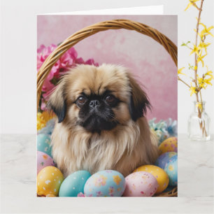 Pekingese Hunde Ostereier Karte