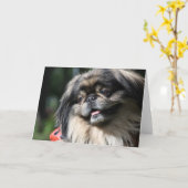 Pekingese Hundegrußkarte Karte (Gelbe Blume)