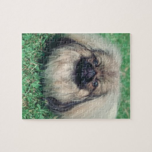 Pekingese Hundepuzzlespiel Puzzle (Horizontal)