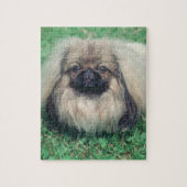 Pekingese Hundepuzzlespiel Puzzle (Vertikal)