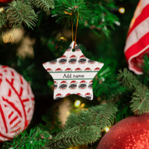 Pekingese-Hunderasse Weihnachtssterne Keramik Ornament