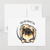 Pekingese IAAM Postkarte (Vorne/Hinten)