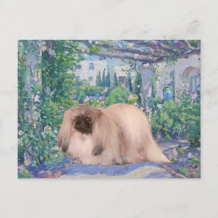 Pekingese im Blumengarten Postkarte