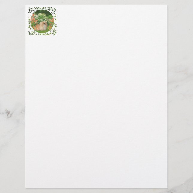 Pekingese im Garten (Vorderseite)