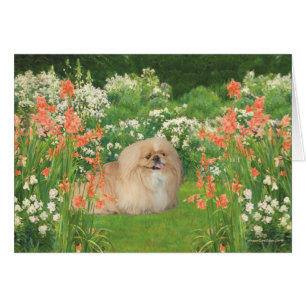 Pekingese im Garten