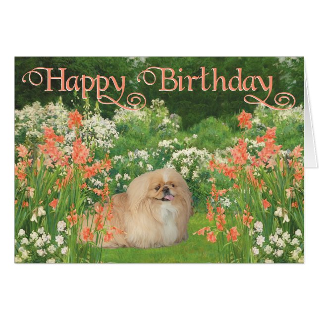Pekingese im Garten (Vorderseite (Horizontal))