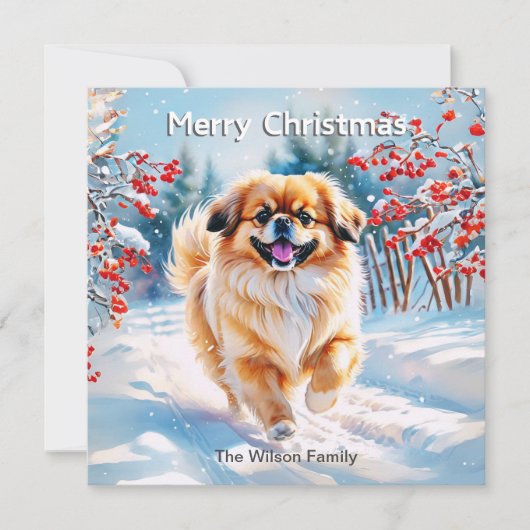 Pekingese im Schnee Winter Frohe Weihnachten (Vorderseite)