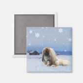 Pekingese im Winter Magnet (Vorderseite/Rückseite)