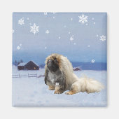 Pekingese im Winter Magnet (Vorne)