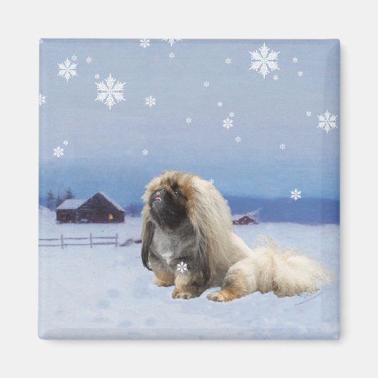 Pekingese im Winter Magnet (Vorne)