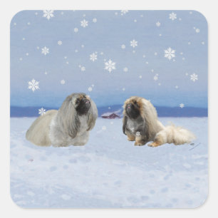 Pekingese im Winter Quadratischer Aufkleber