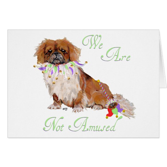 Pekingese ist nicht verwirrt (Vorderseite (Horizontal))