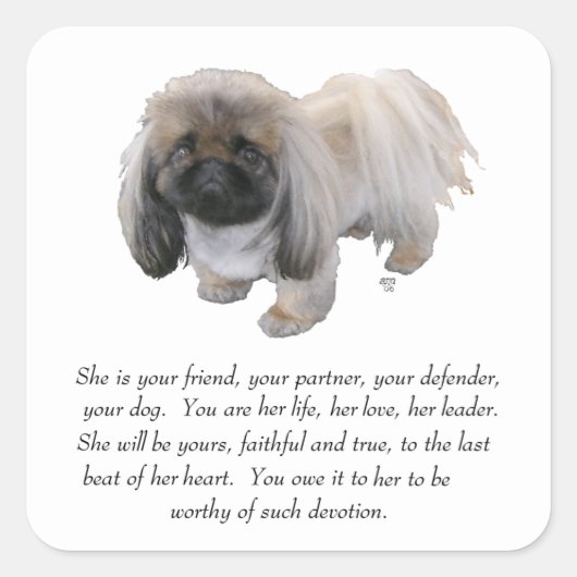 Pekingese Keepake — FEMALE Quadratischer Aufkleber (Vorderseite)
